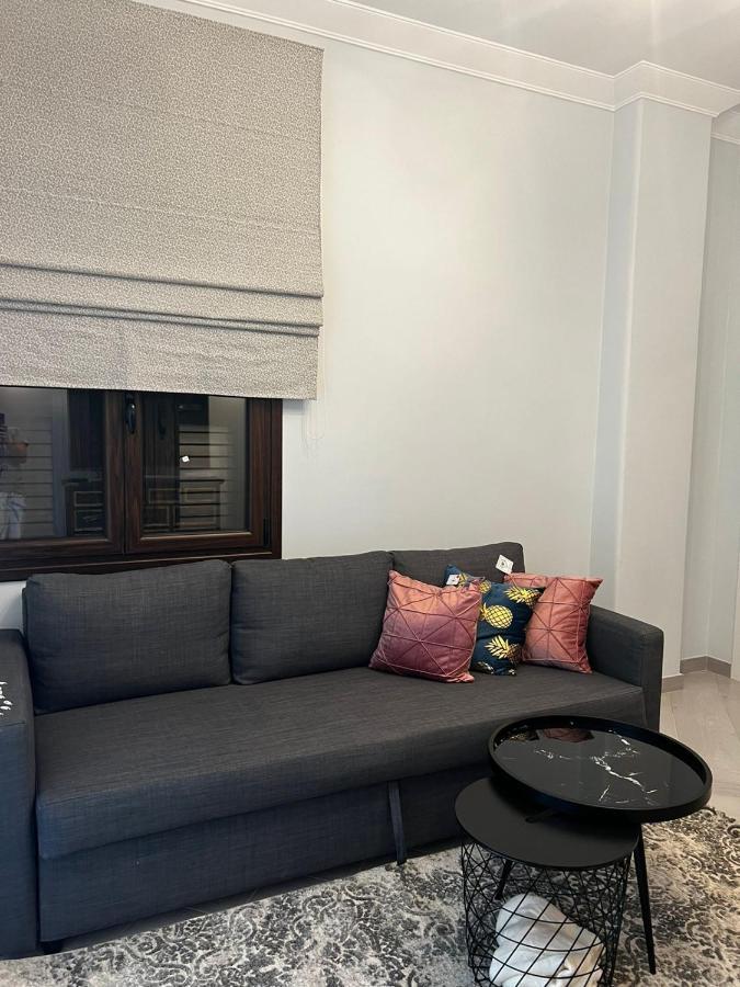 Olivia Luxury Apartment Palio Faliro アテネ エクステリア 写真
